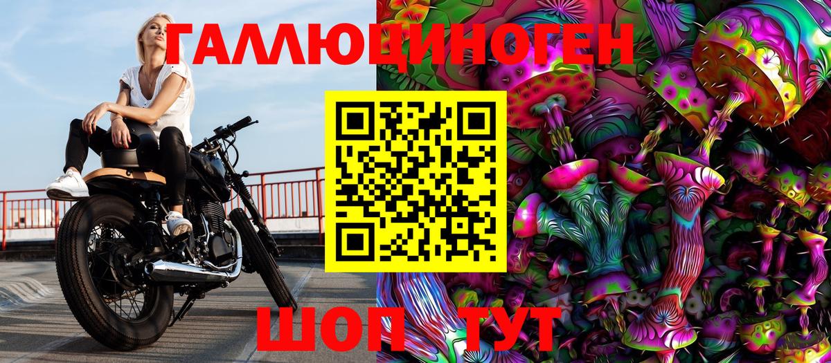 Лениногорск  Галлюциногенные грибы Psilocybine cubensis  Вход с VPN 