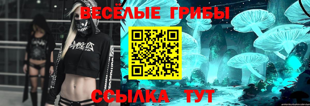 Галлюциногенные грибы MAGIC MUSHROOMS Лениногорск