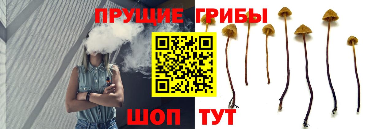 МЕФ   Гашиш  Лениногорск  ГАШ  Вход с VPN  Бошки Шишки  НБОМе 